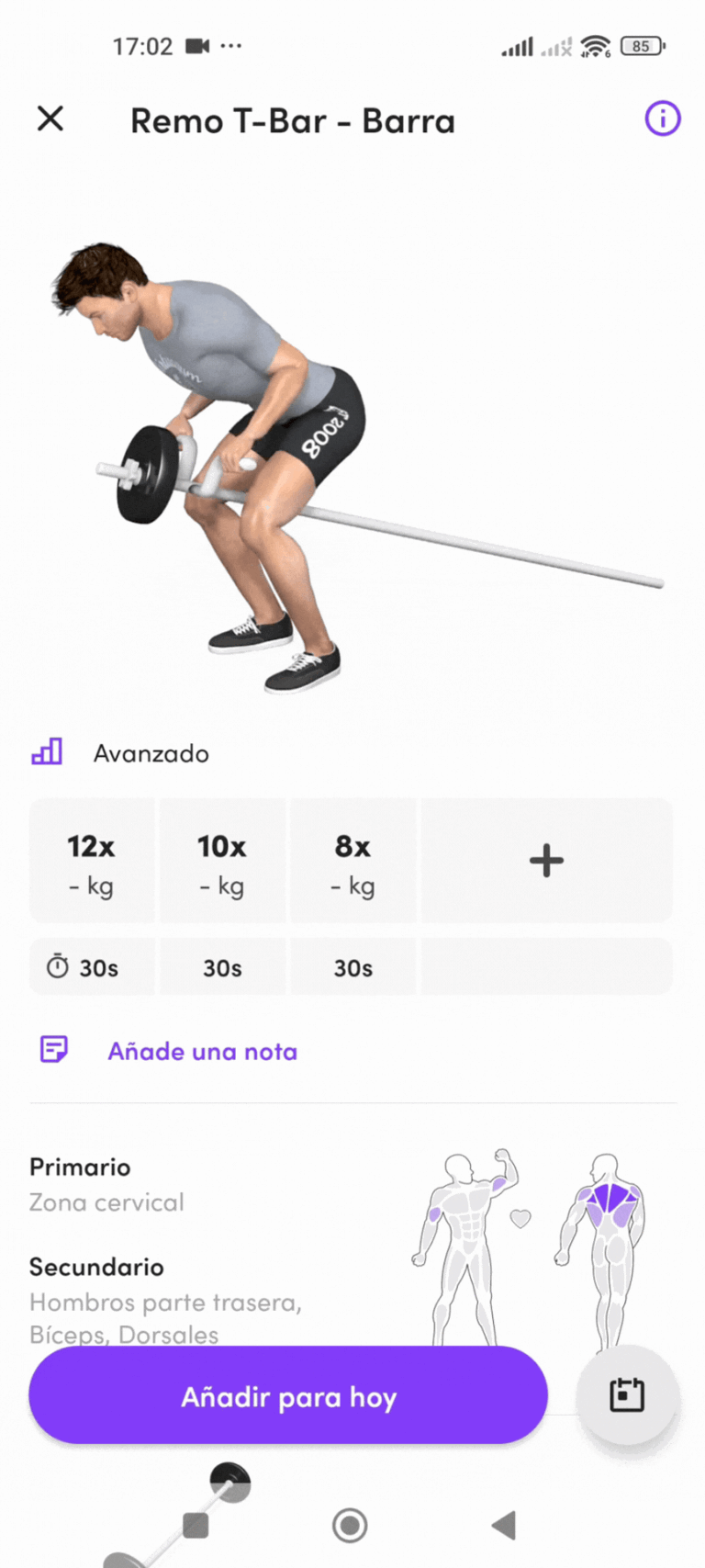remo barra